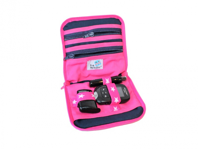 Diabetes Tasche im kleinFORMAT Pusteblumen - rosa